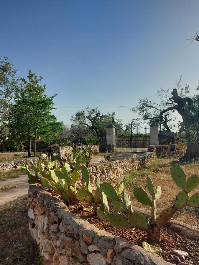 La Petraia Villa Magliano Bagian luar foto