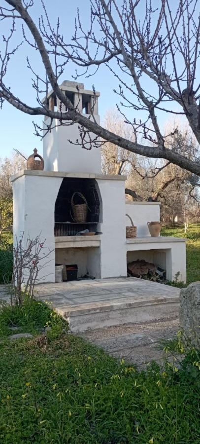 La Petraia Villa Magliano Bagian luar foto