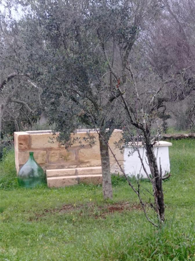 La Petraia Villa Magliano Bagian luar foto