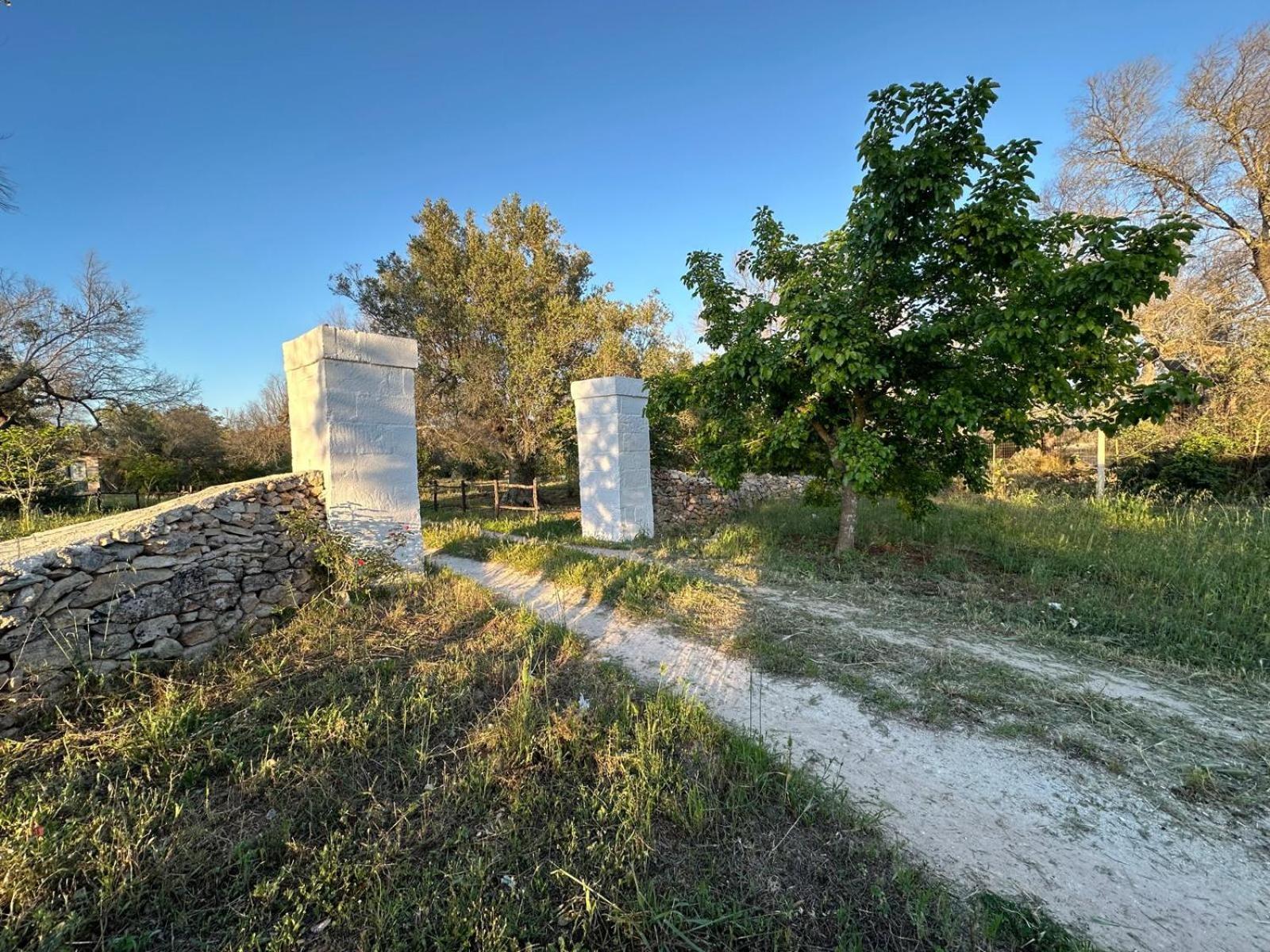 La Petraia Villa Magliano Bagian luar foto