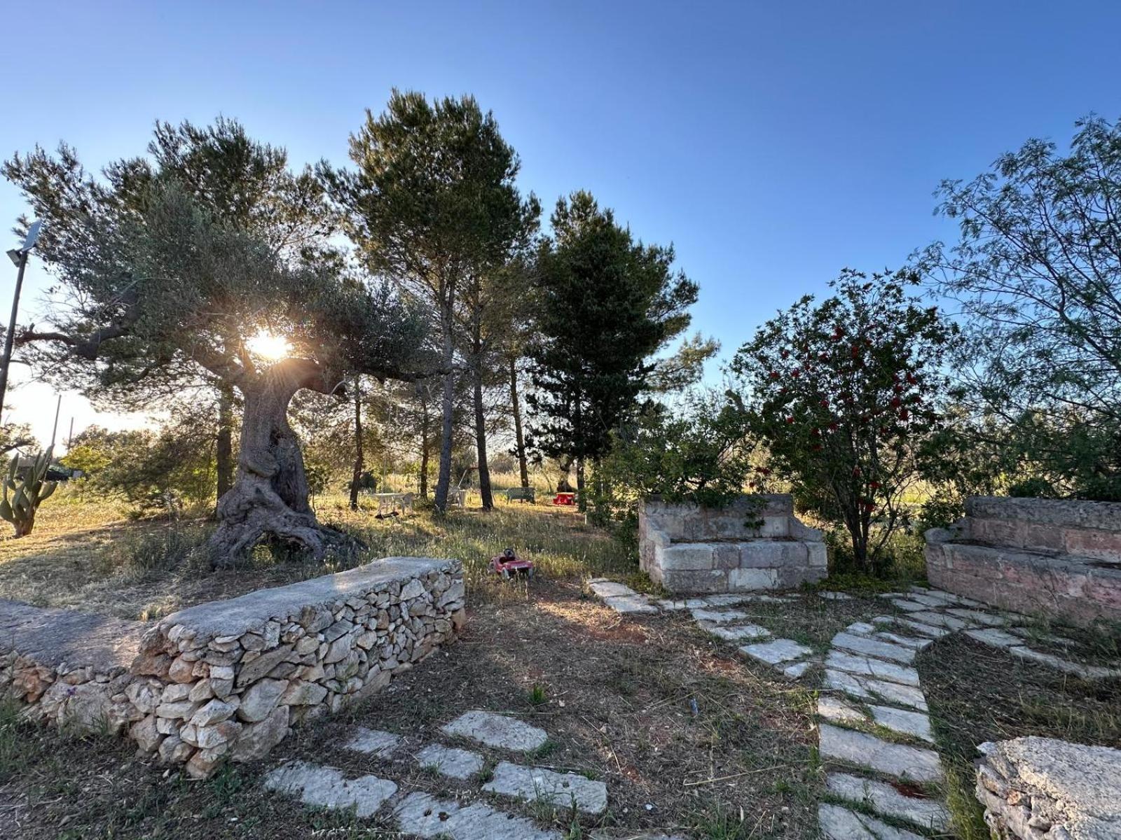 La Petraia Villa Magliano Bagian luar foto