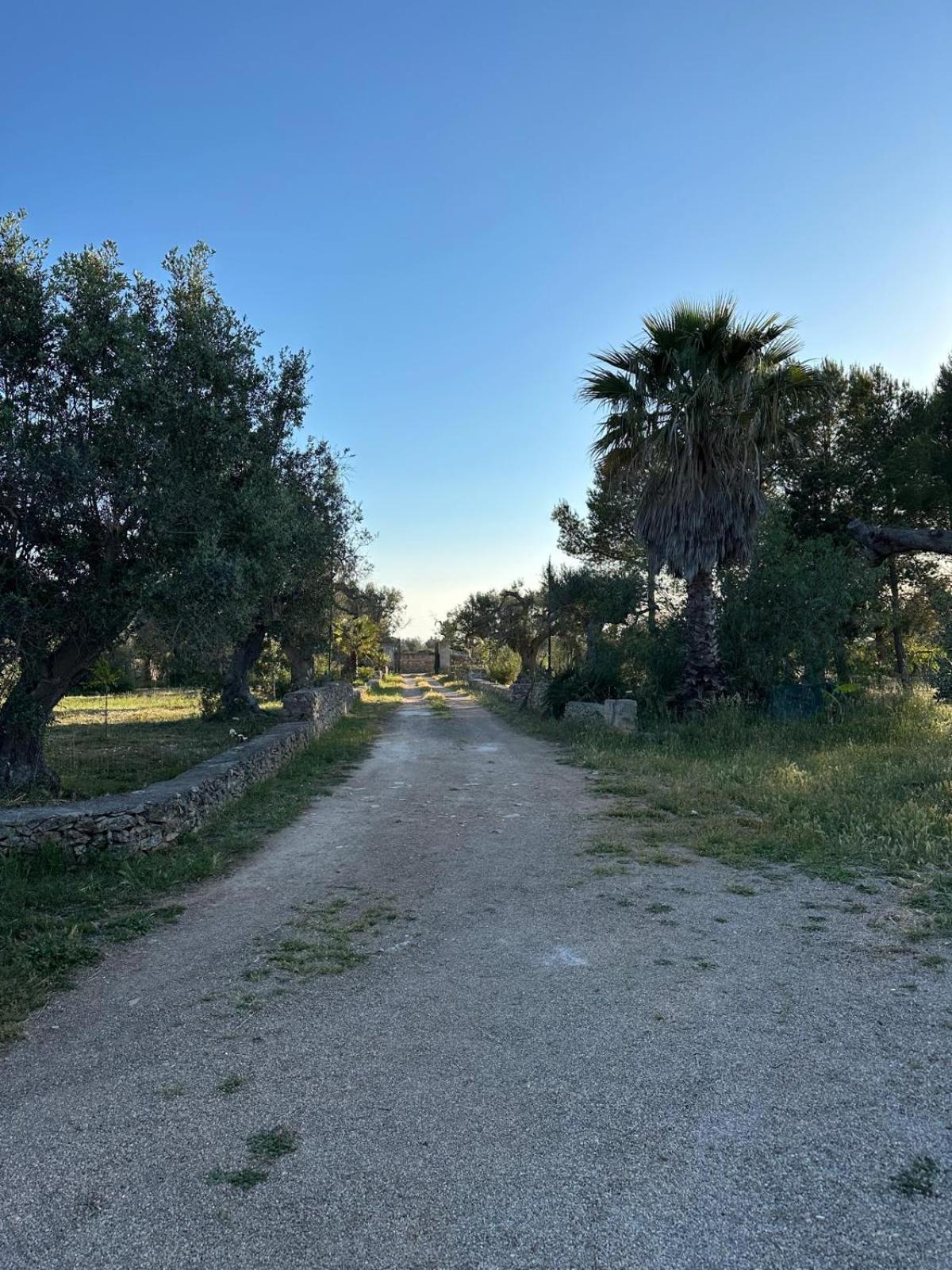 La Petraia Villa Magliano Bagian luar foto